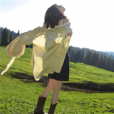 龙拳小子2