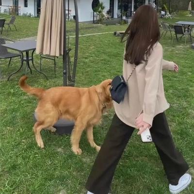 马尔科姆和玛丽