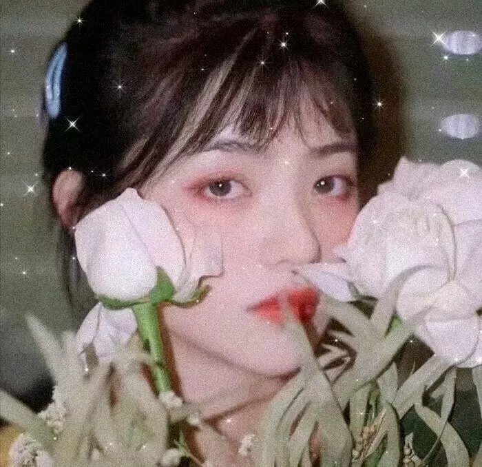毛茸茸的狗